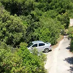 10061a Prižba