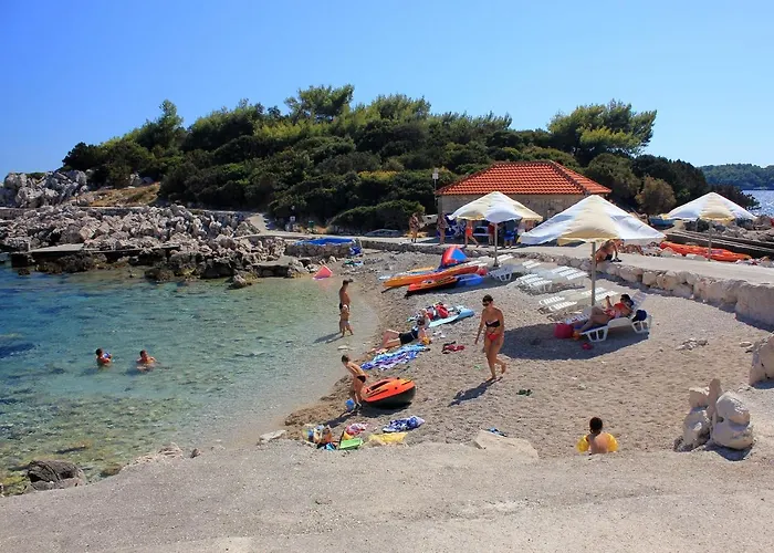 10061a * 普瑞兹巴